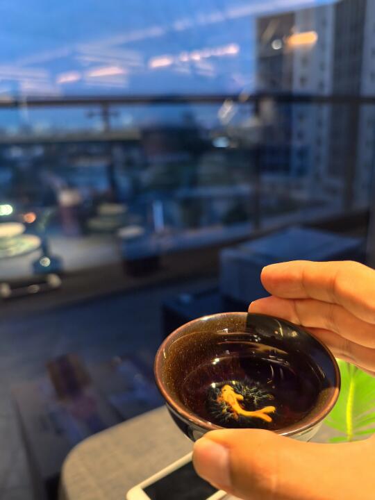 南里晓舍