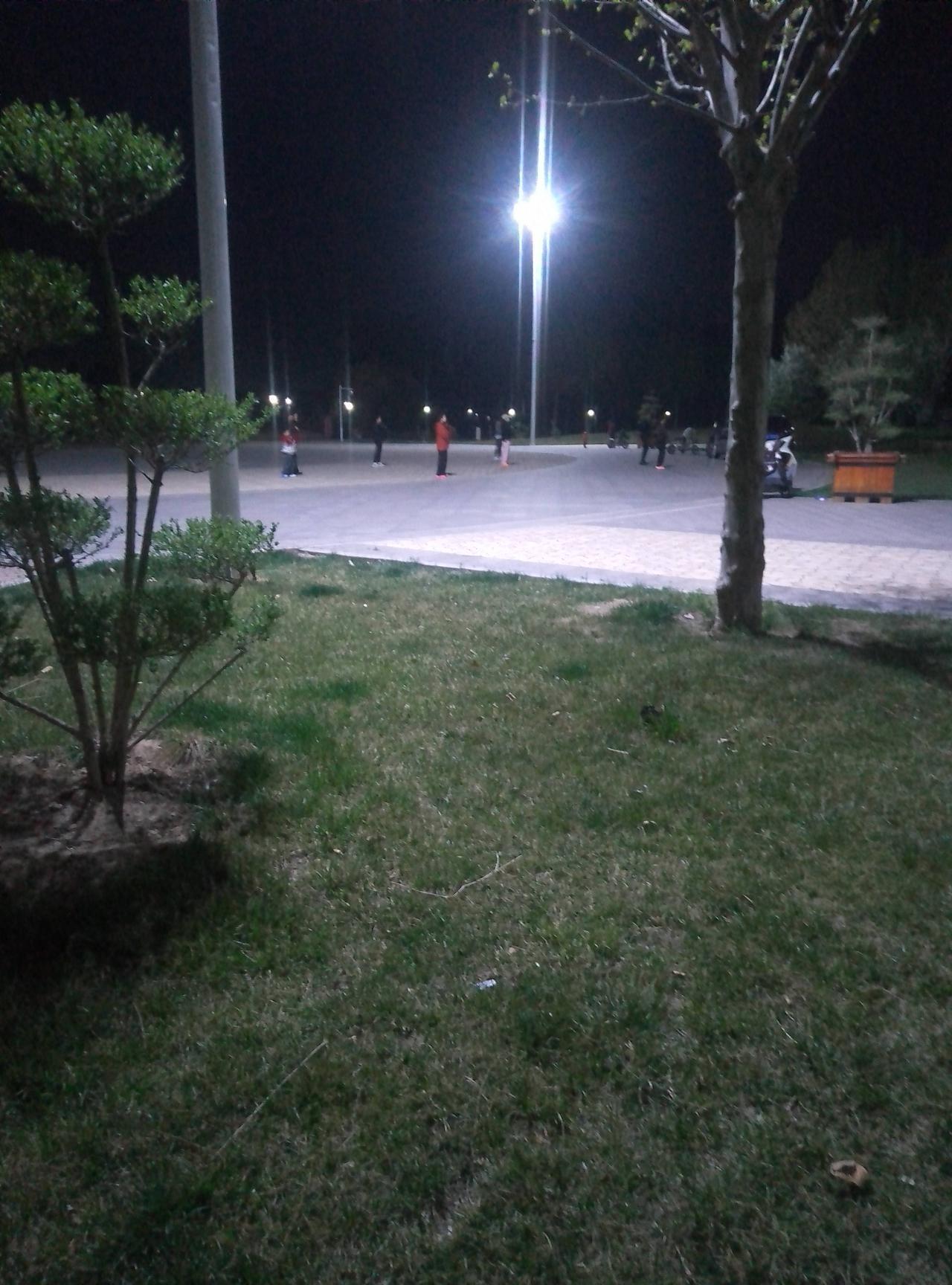 公园的夜晚