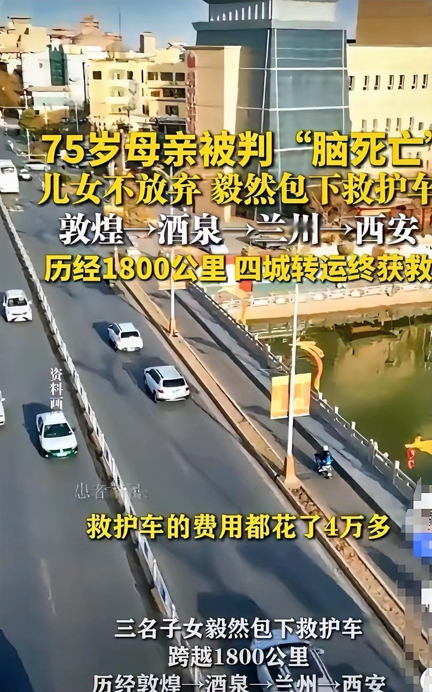 “医学已经宣判了死刑，你们这4万块钱打水漂不说，最后可能连老人的全尸都留不住。”