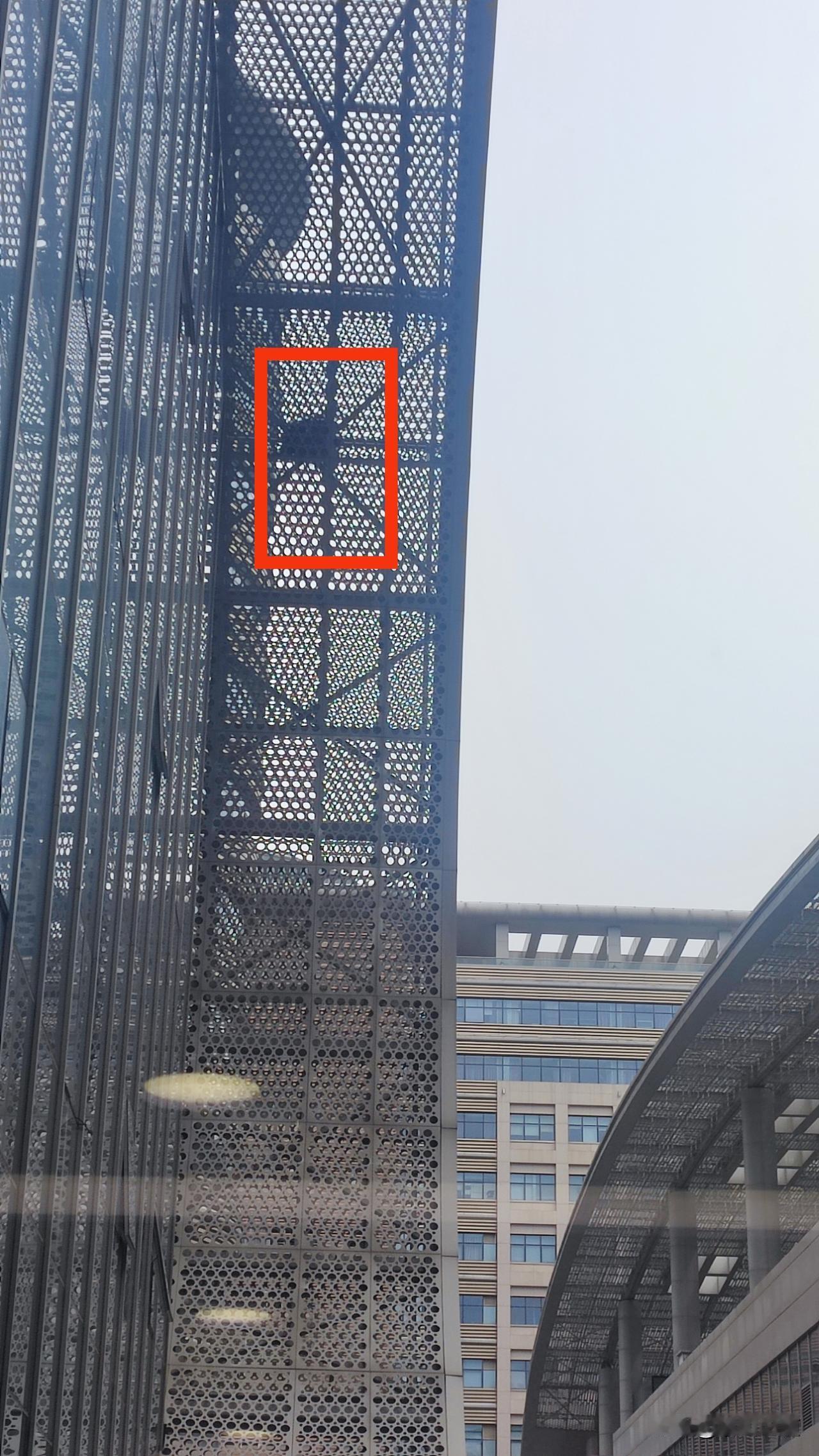 最近，到郑州大学第一附属医院郑东新区院区，发现在一个建筑物的造型里边有一个类似鸟