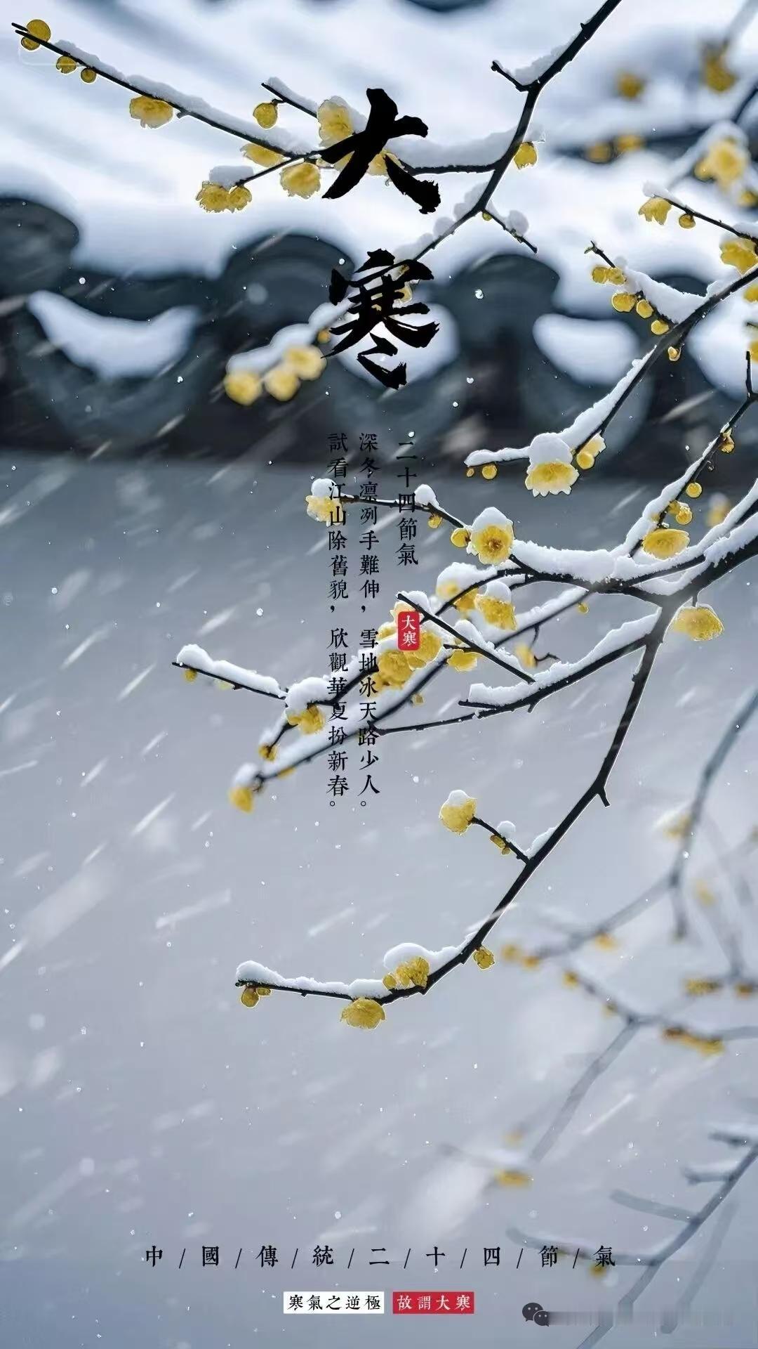 天净沙·大寒
霜风昨夜敲栏，
檐边残雪留寒。
闲看梅枝蕊绽。
瘦姿娇婉，
大寒时