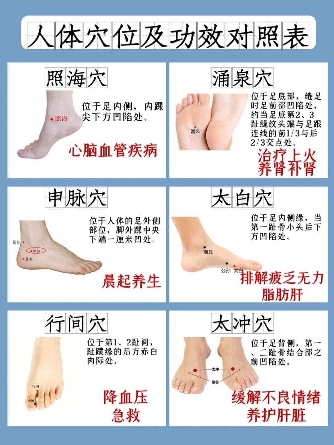 人手一份的人体穴位宝典！健康从穴位开始人体穴位及功效对照表，养生秘籍来啦！ 哈喽