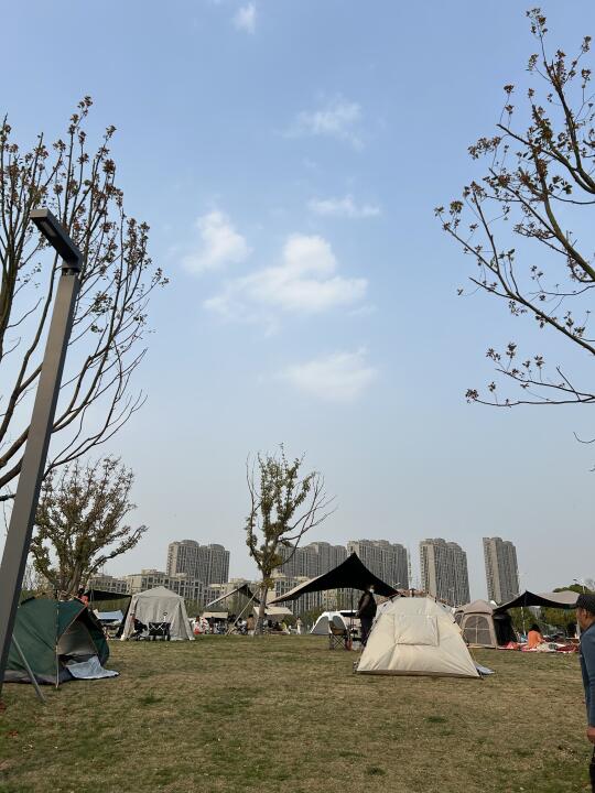 推荐｜对硕士生、博士生很友好的期刊