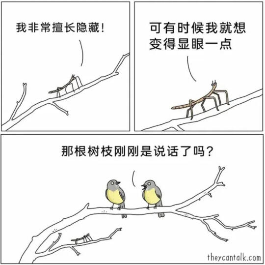 每日一图7.10