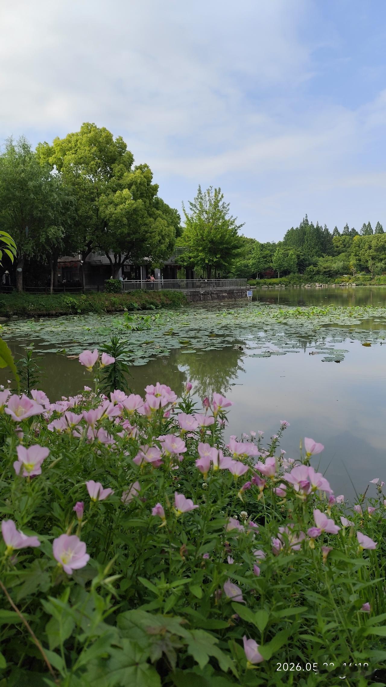 我认为诸葛亮。一代军师诸葛亮用他人生的智慧战胜了无数的战乱。因此，他比曹操更智慧