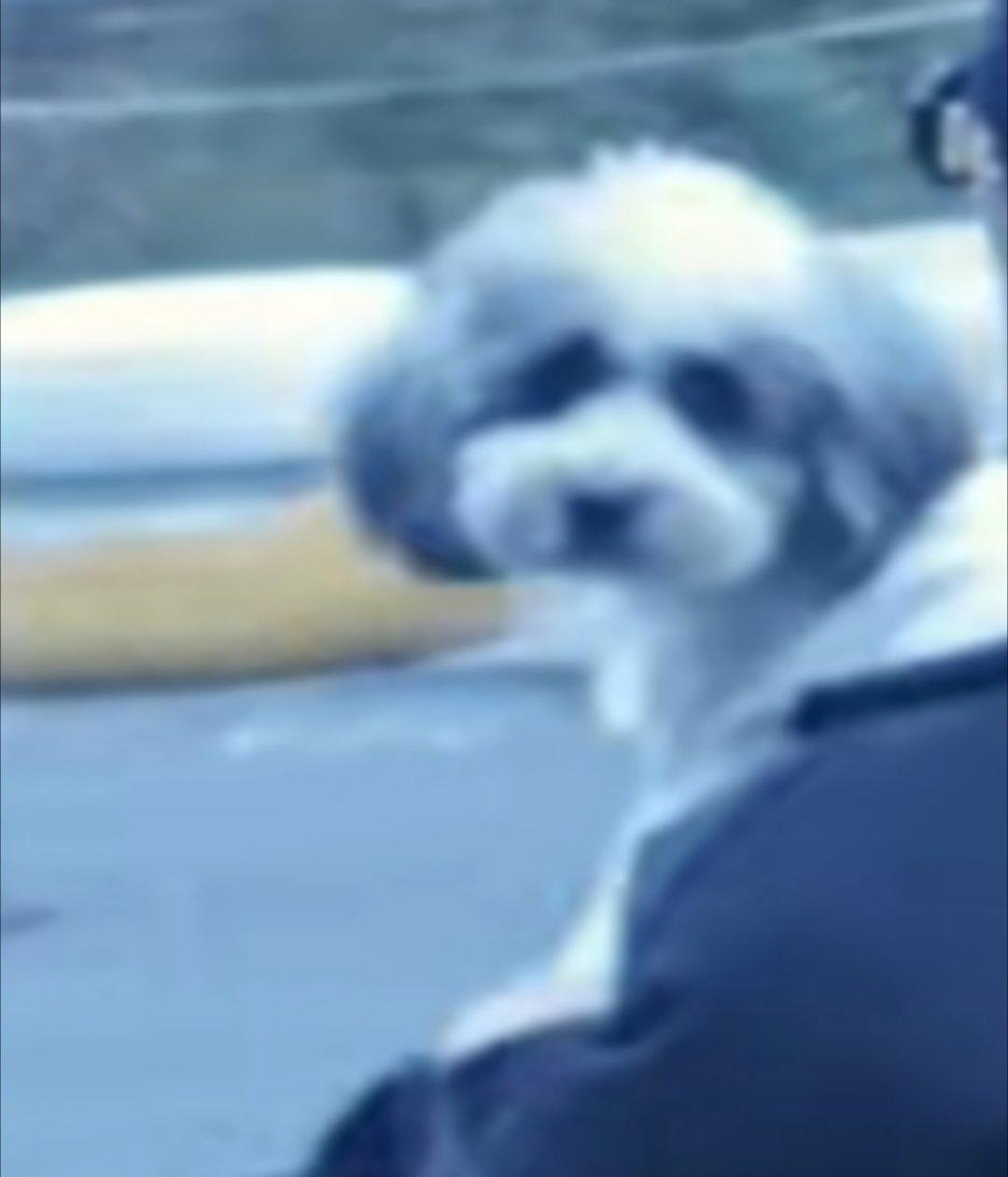 大胆九月认真回头看