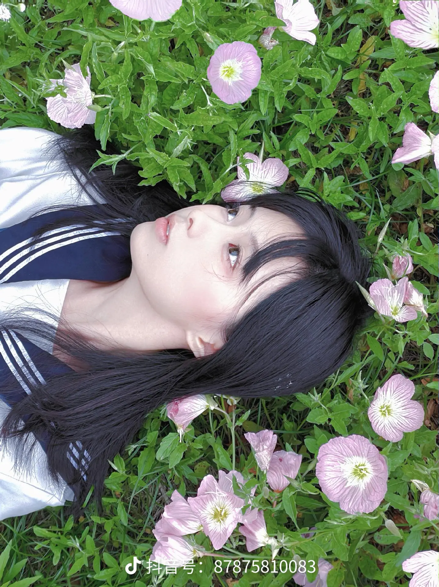 梦入花中一百次。