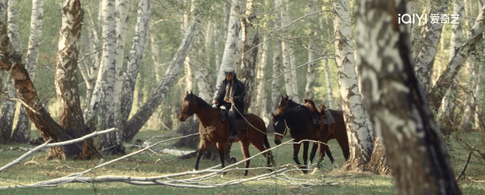 #想去阿勒泰的心达到顶峰#！！！我宣布！我心动了！看了预告，想去阿勒泰的心！！！