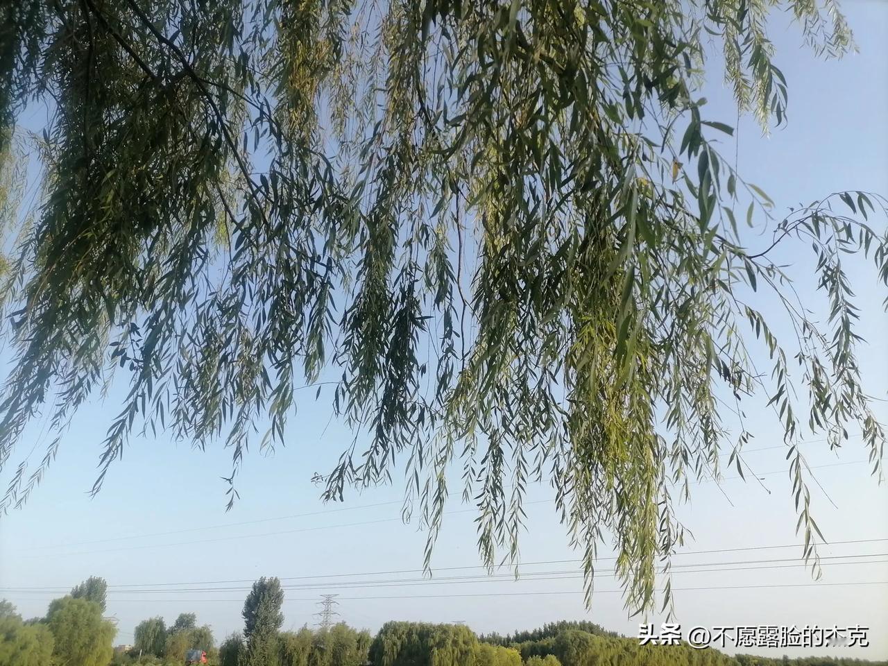 #记录我的2024#
健身记录
骑行十公里，完成健身任务。
一如既往地坚持，你做