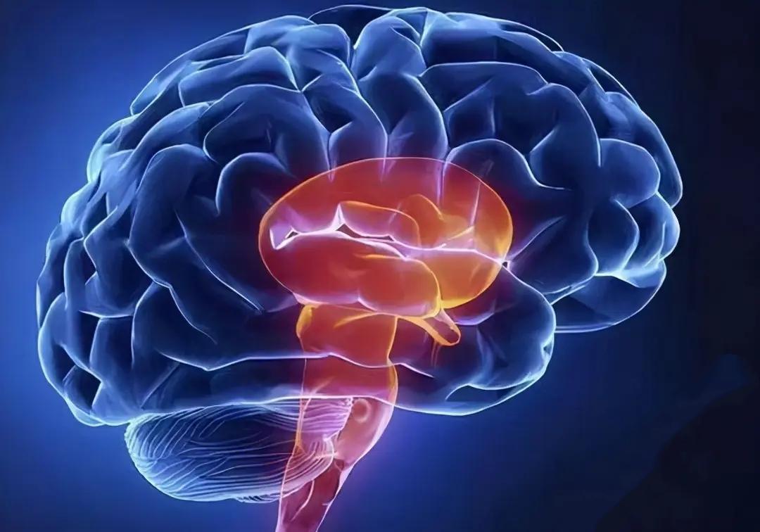 睡前若频繁出现5种表现，需警惕脑梗来袭：持续头晕、频繁打哈欠、单侧肢体麻木、视力