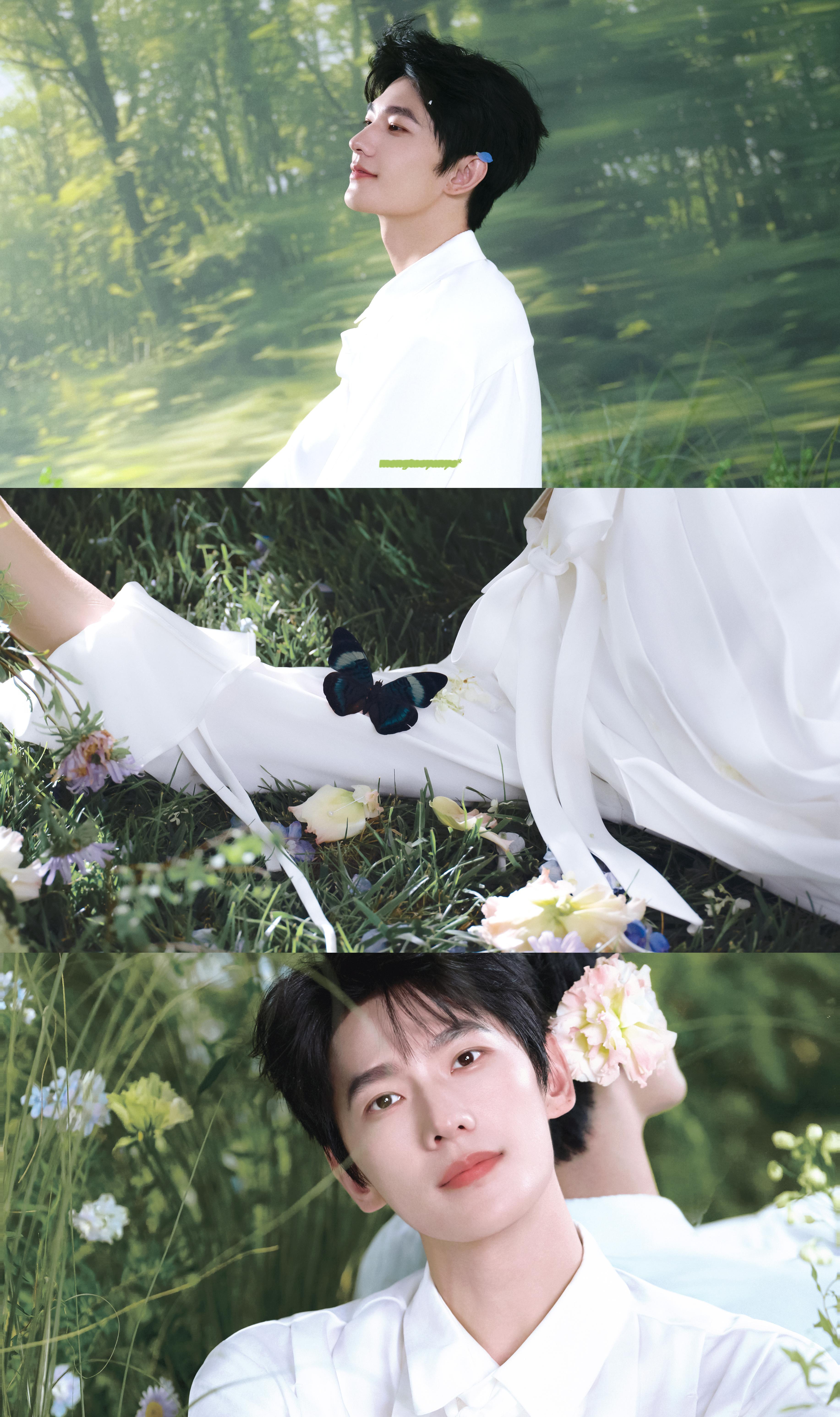 - 杨洋。💫🍃🍨🦋 ​​​