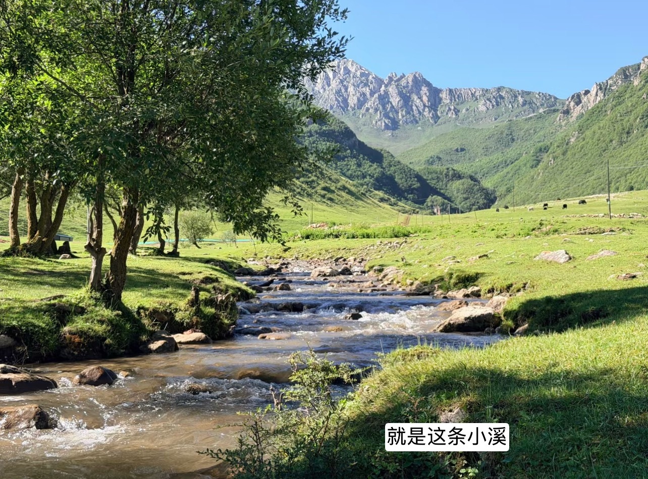 网红景区10人遇难3次预警为何失效七下八上不进山，有道理的。山洪的最大危险，不是