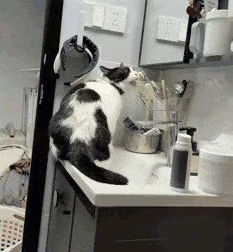 爱干净真是好习惯呀~