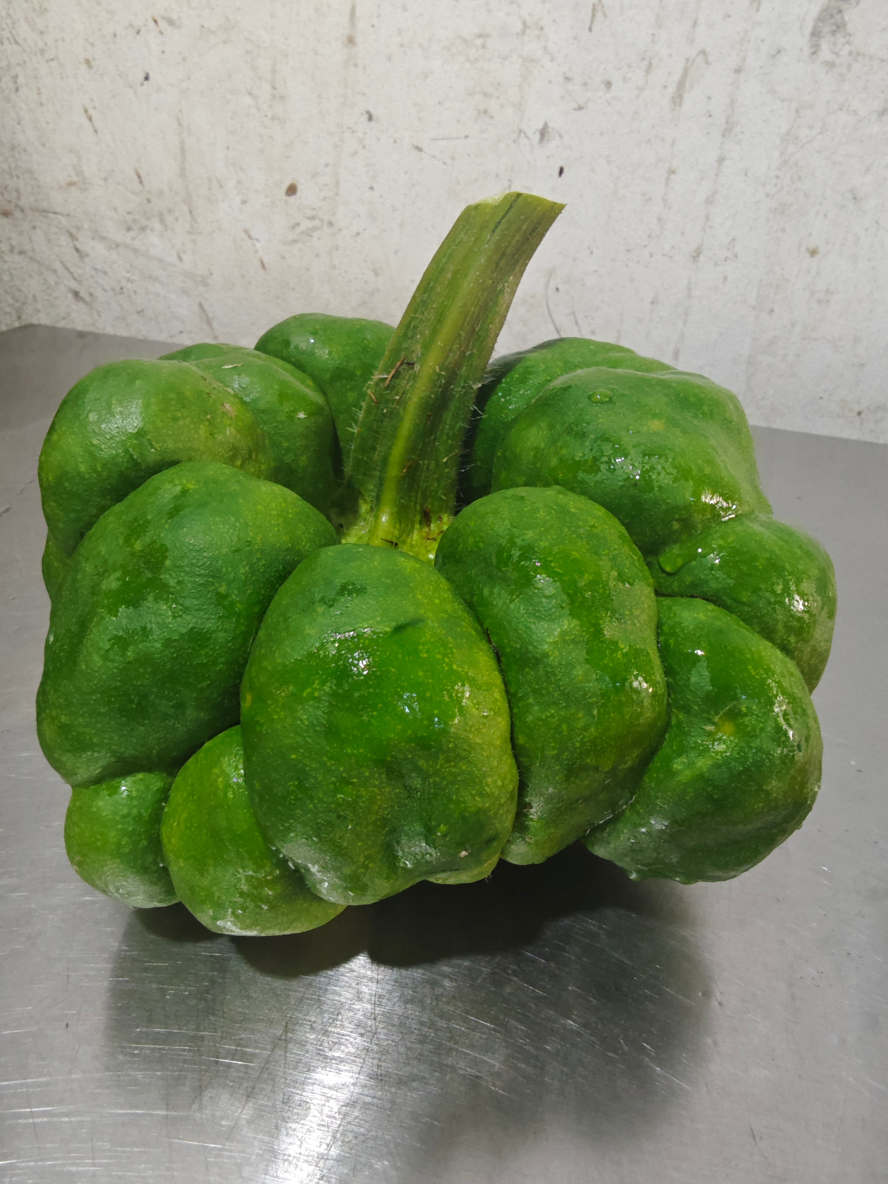 这南瓜太好吃了，今天麦菜硬要我麦这大的，结果没煮完，绵口。你见过这样的南瓜吗？ 