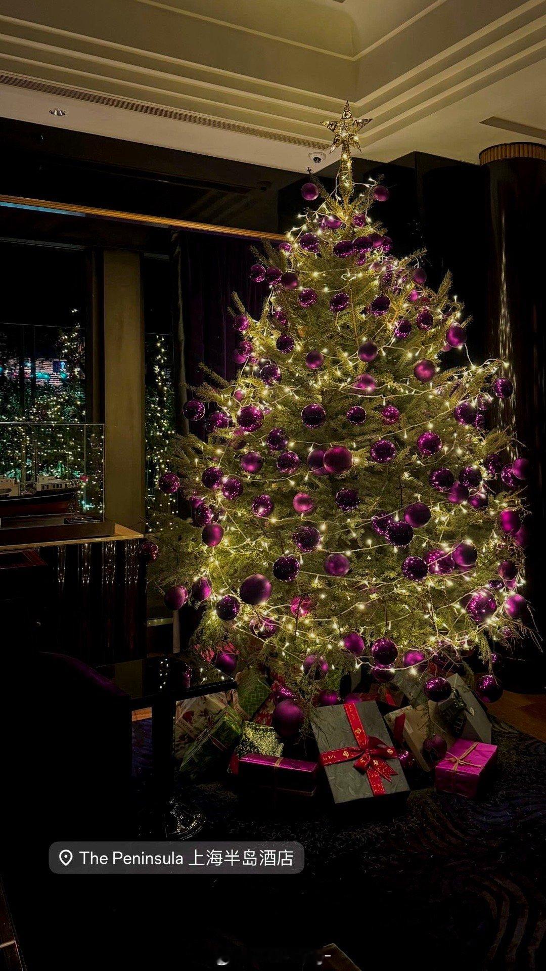 幸福的圣诞月🎄🎀 