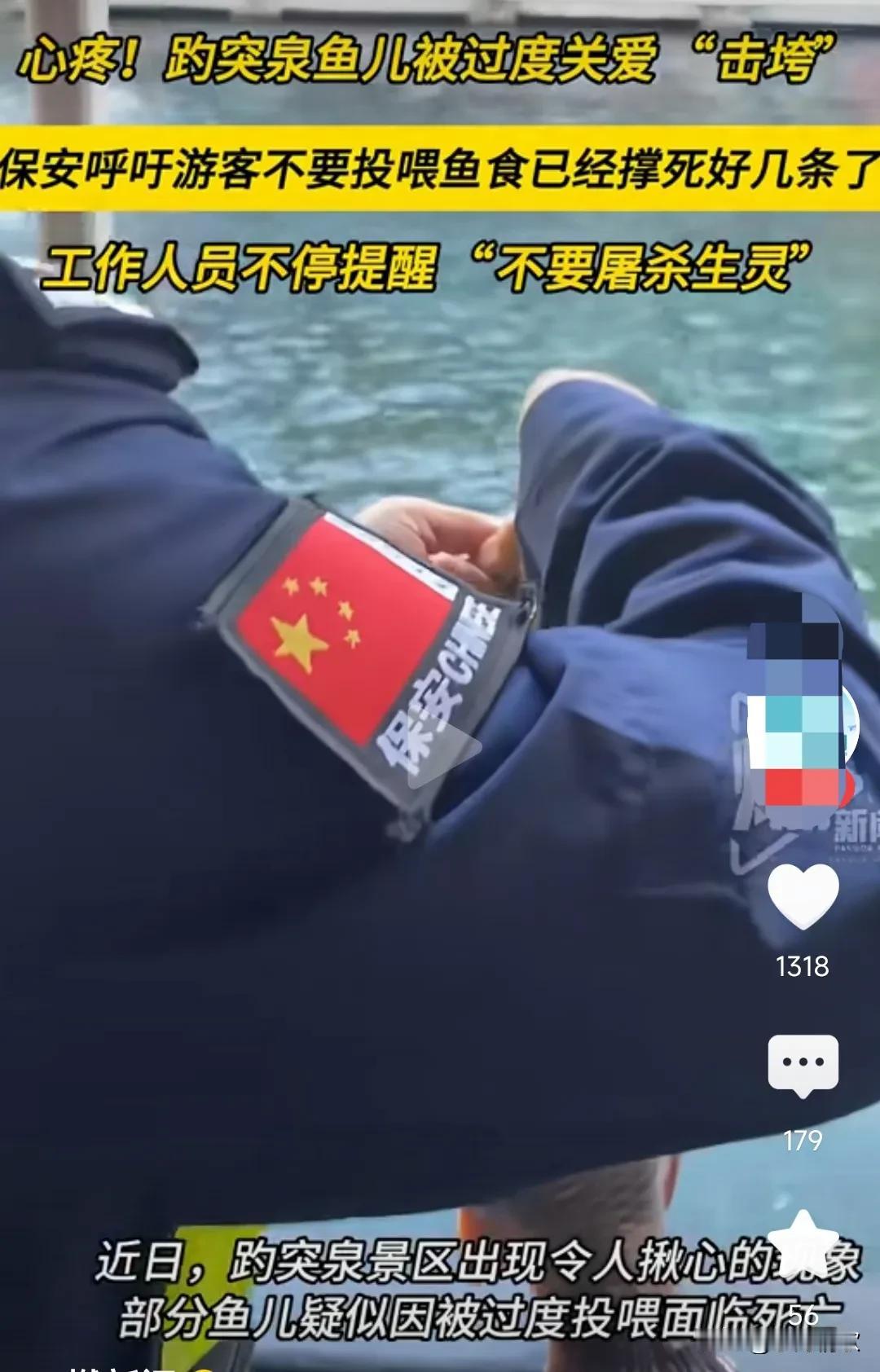 这真的是好心办坏事，没想到趵突泉鱼儿被游客投喂撑死数条，看来一定要听劝，不能够再