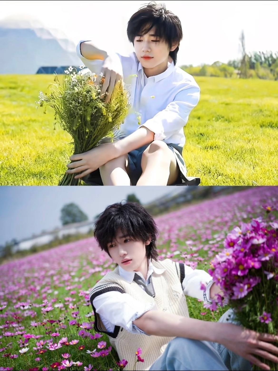 宋亚轩宋小花 宋小花与他的花宋亚轩