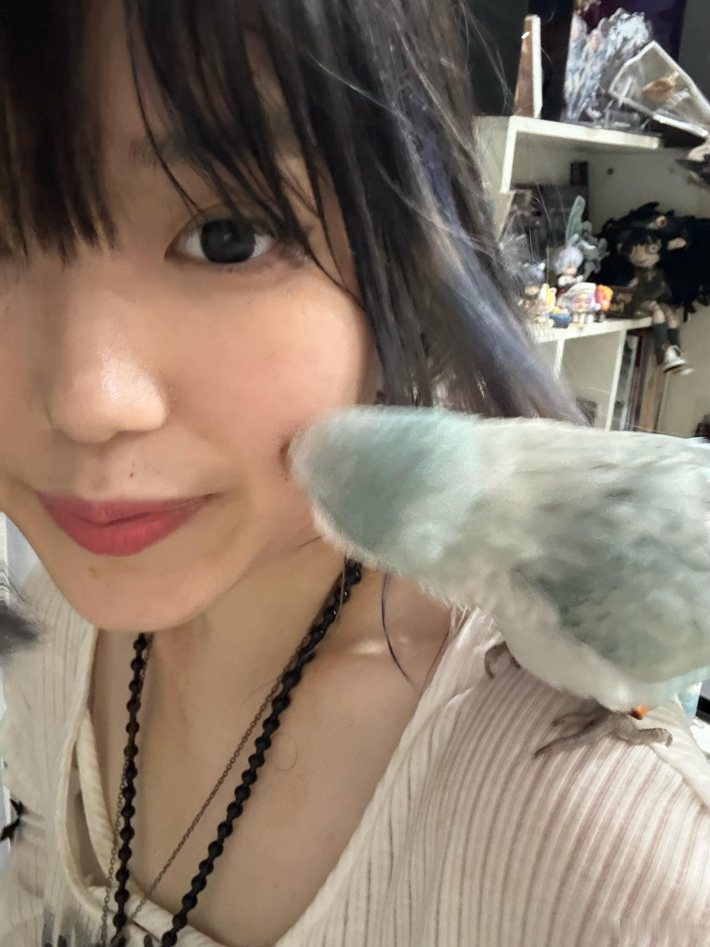 累了一天狼狈回家然后此鸡一见到我就飞我身上狂亲（啄）我，我已理解宝妈的幸福 