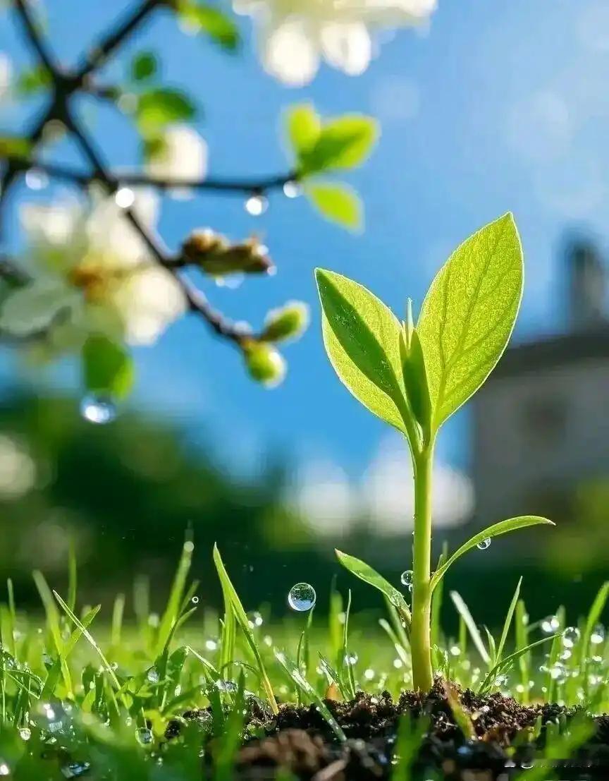 早安[太阳][太阳][太阳]生活，从来都不会辜负一个想要“变好”的人。当你每次品