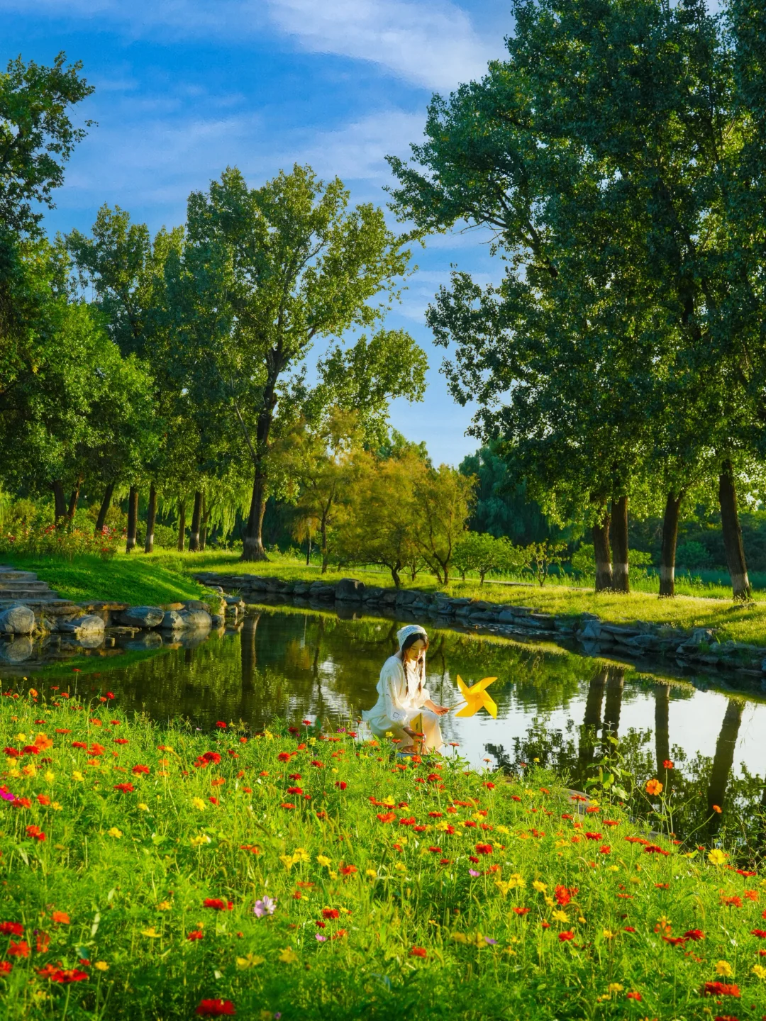 Live🌼总要去趟圆明园，油画般的初秋已上线！