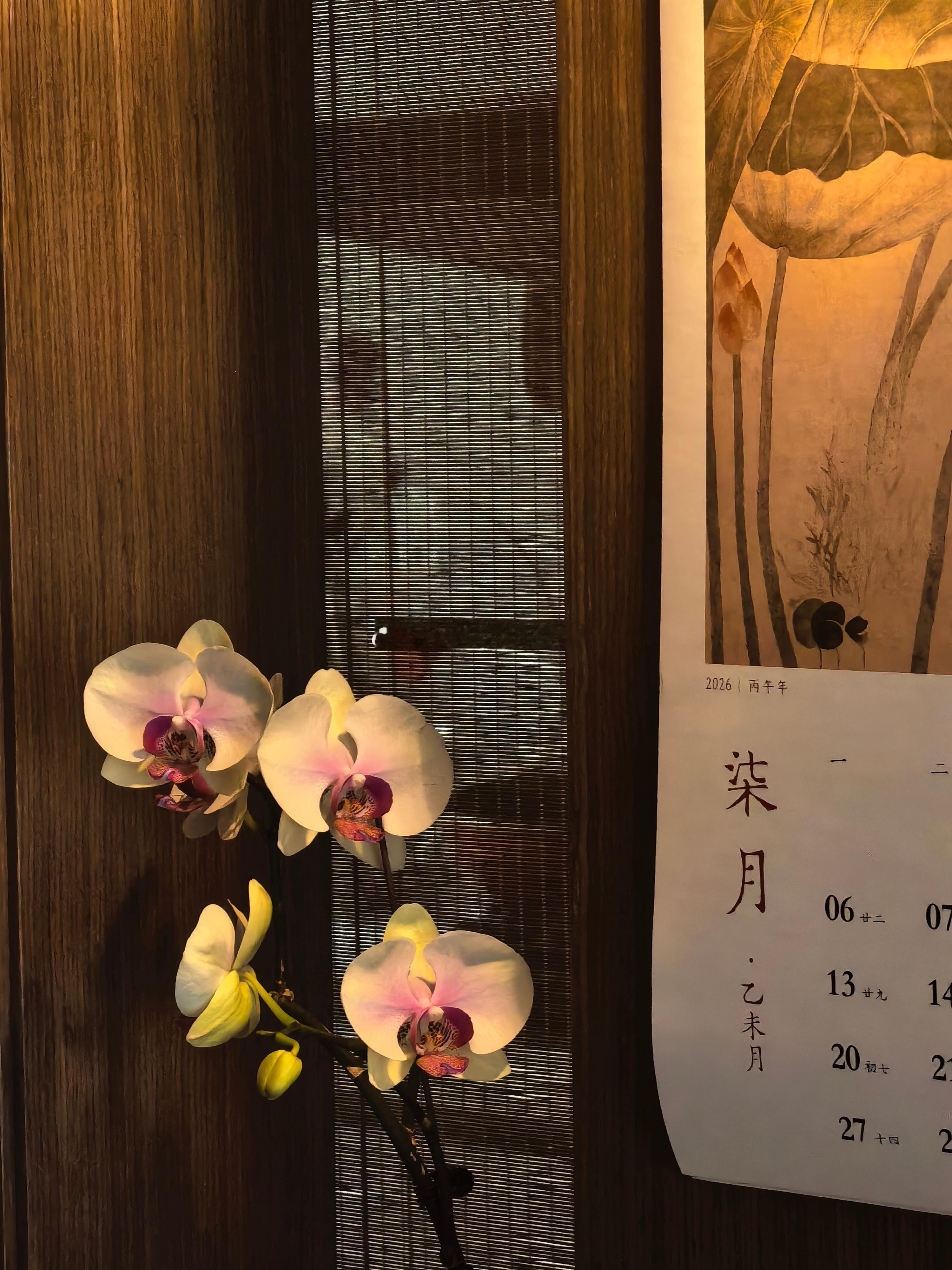 爱自己，对自己好，并让自己好。    “ 我这人呢…经济独立，情绪稳定，健康生活