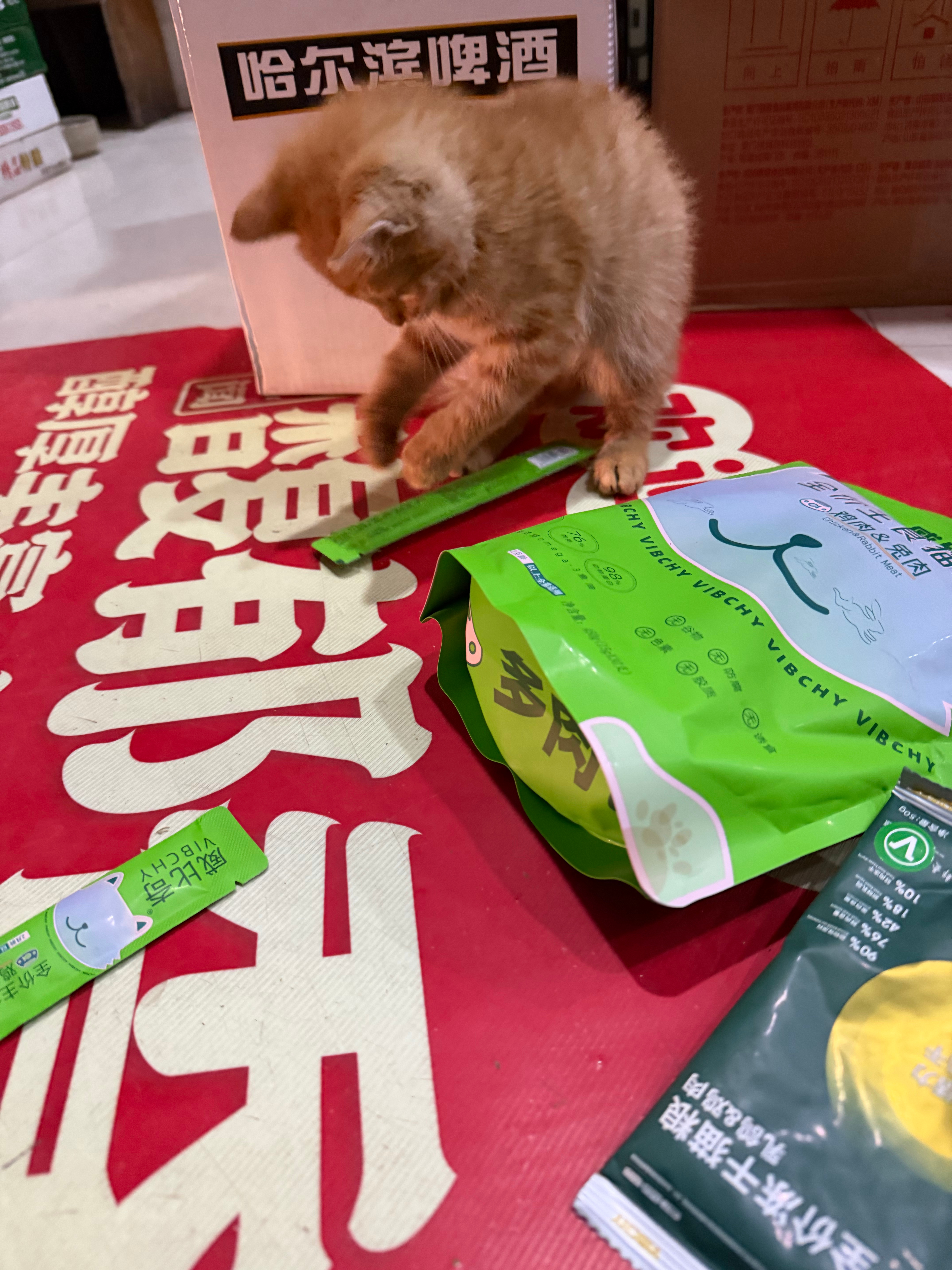小猪咪是小馋猫🐱 