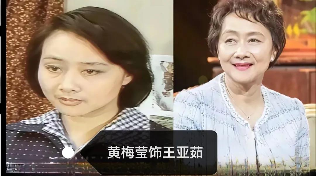 1990年电视剧《渴望》热播，可以说是万人空巷。我看这部电视剧，一是被黄梅莹饰演