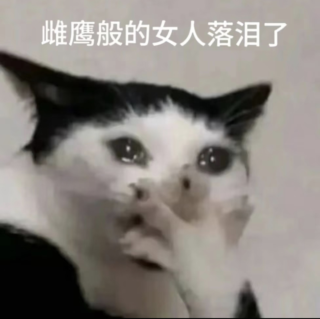 为什么这样对我[泪][泪]死番茄烂番茄把我的账号还给我啊[跪了] ​​​