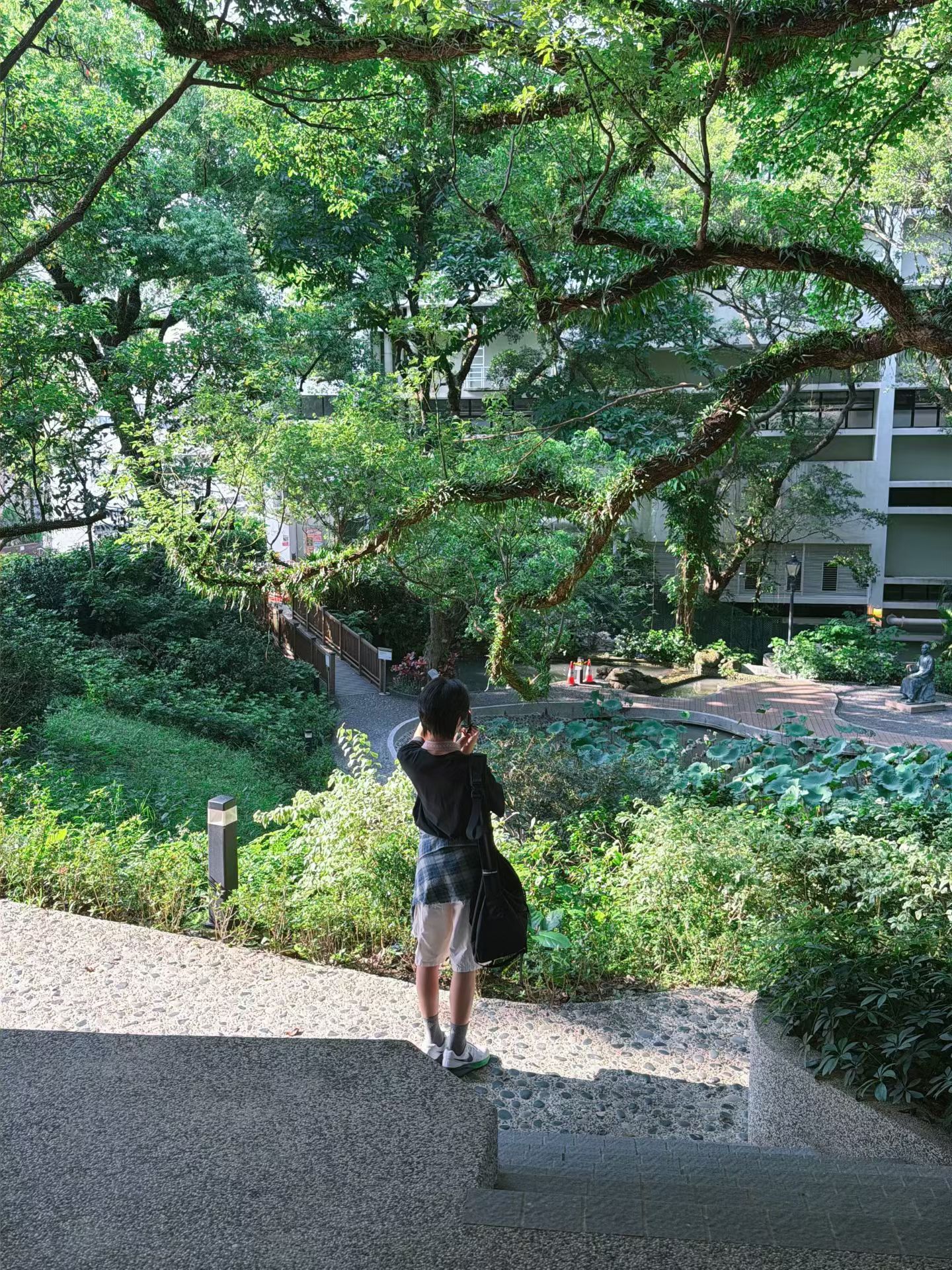 专门请人带我们参观介绍了香港大学，给我嘉我悦种个草，说不定将来谁就来这里上大学了
