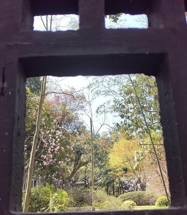 很多人拿起手机拍照后，会陷入一个误区：照片看起来普通，就认为问题出在设备上。
于