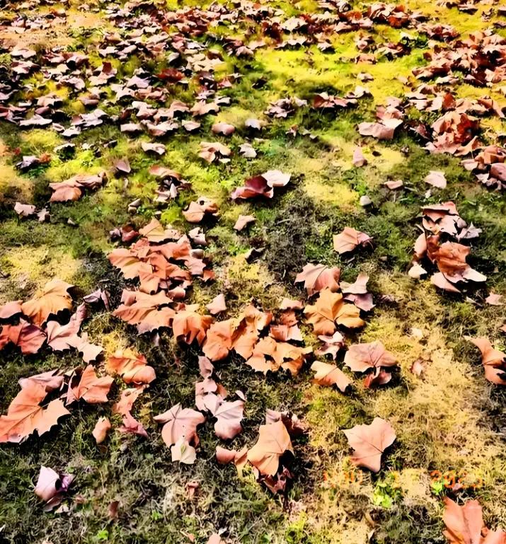 人来世间走一趟的意义是什么? 
《在时光的琥珀中雕刻永恒》

哲人苏格拉底曾在雅