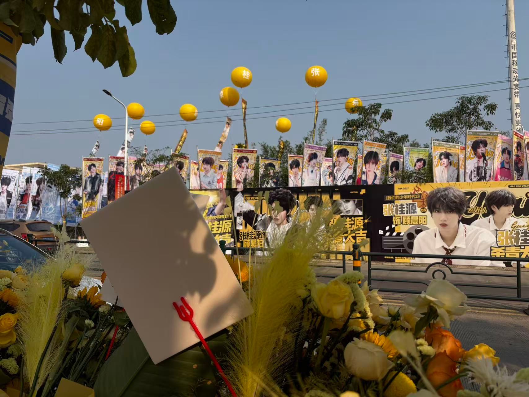 张桂源 眉压眼谁懂眉压眼和地广的适配度好有冲击力的帅，期待未来品牌给这个张桂源铺