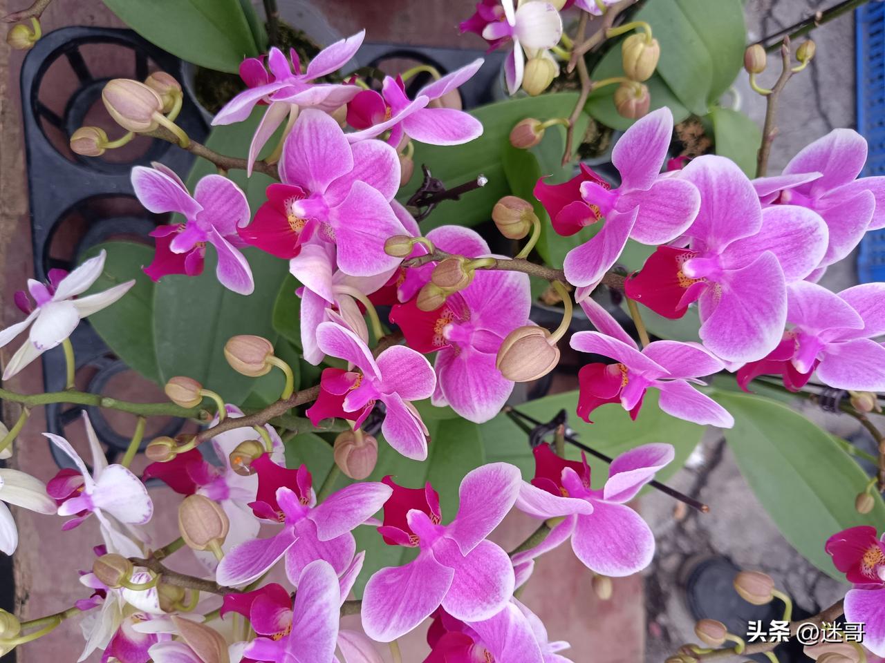 这句话很对，而且是成年人最实用的处世智慧。

心里有真话，嘴上有分寸，眼里有边界