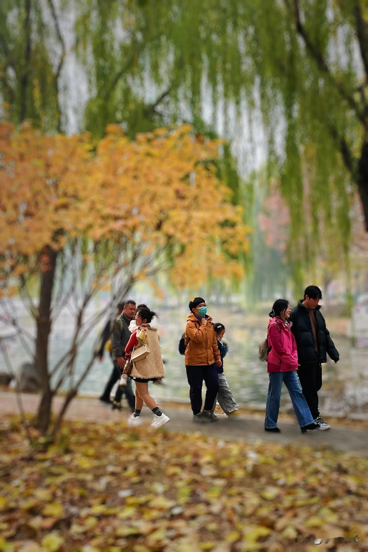 开车进校园，自由出入，无需预约。位于新华区学府路上的河北经贸大学给予民众如此高的