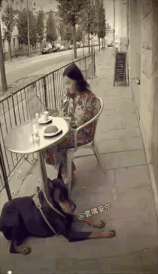 动物虽然没有人类的智慧但它们对未知的危险有极強的敏感性。
大地震前各种动物的反常