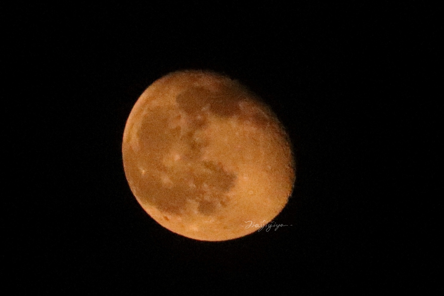 🌖 ​​​