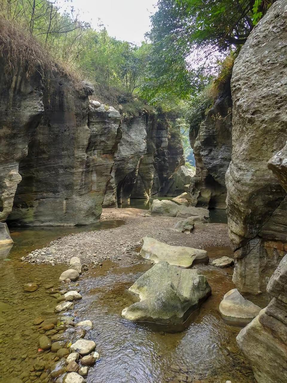 守着煎饼摊整整三个月没人问津的大姐，如今小摊前早就排起了长队！她说用的酱料还是最
