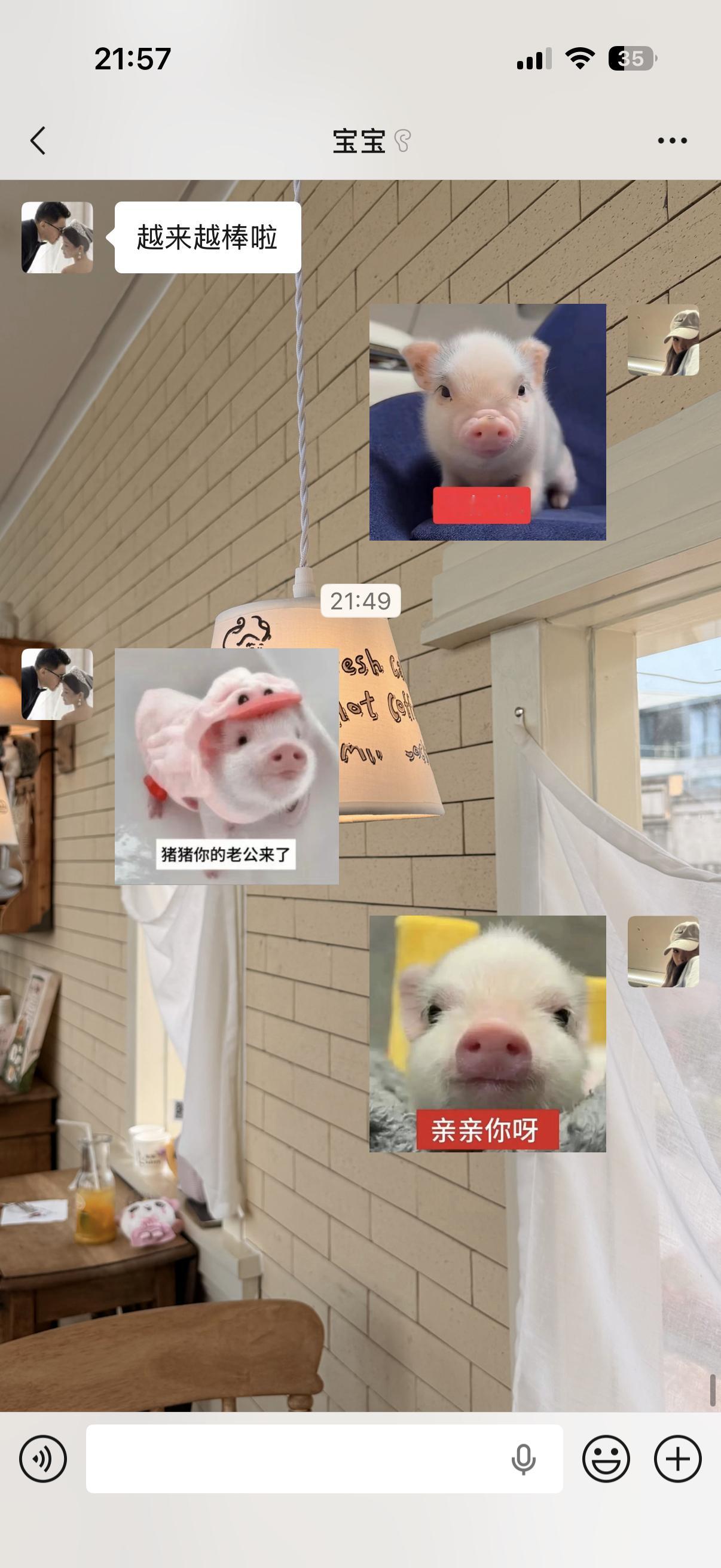 最近喜欢小猪表情包🐷🐖 