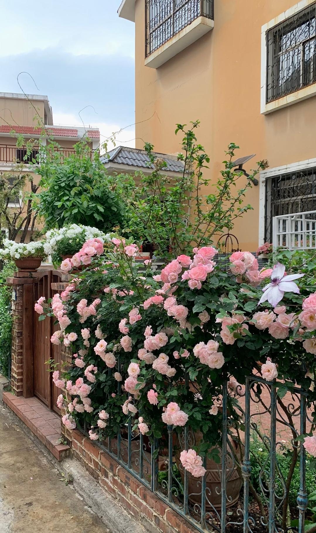 54岁二婚同事突然离婚！看完太心酸
 
我同事今年54岁，二婚和现任搭伙七八年，