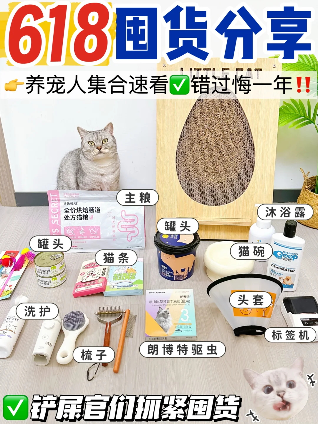 618养猫人囤货指南！跟着买不踩雷！