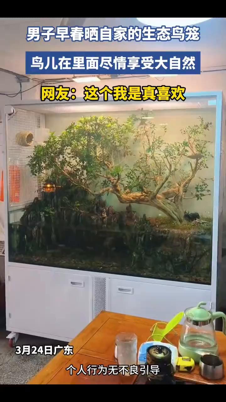 男子早春晒自家的生态鸟笼，鸟儿在里面尽情享受大自然。网友：这个我是真喜欢。
3月