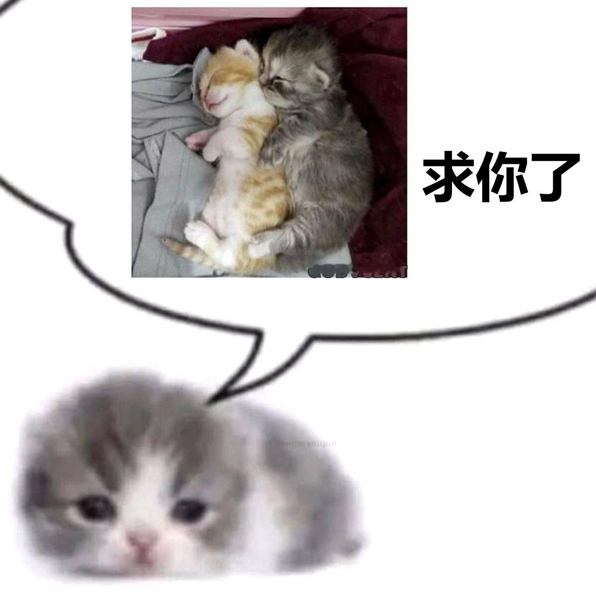 我就这样 ​​​