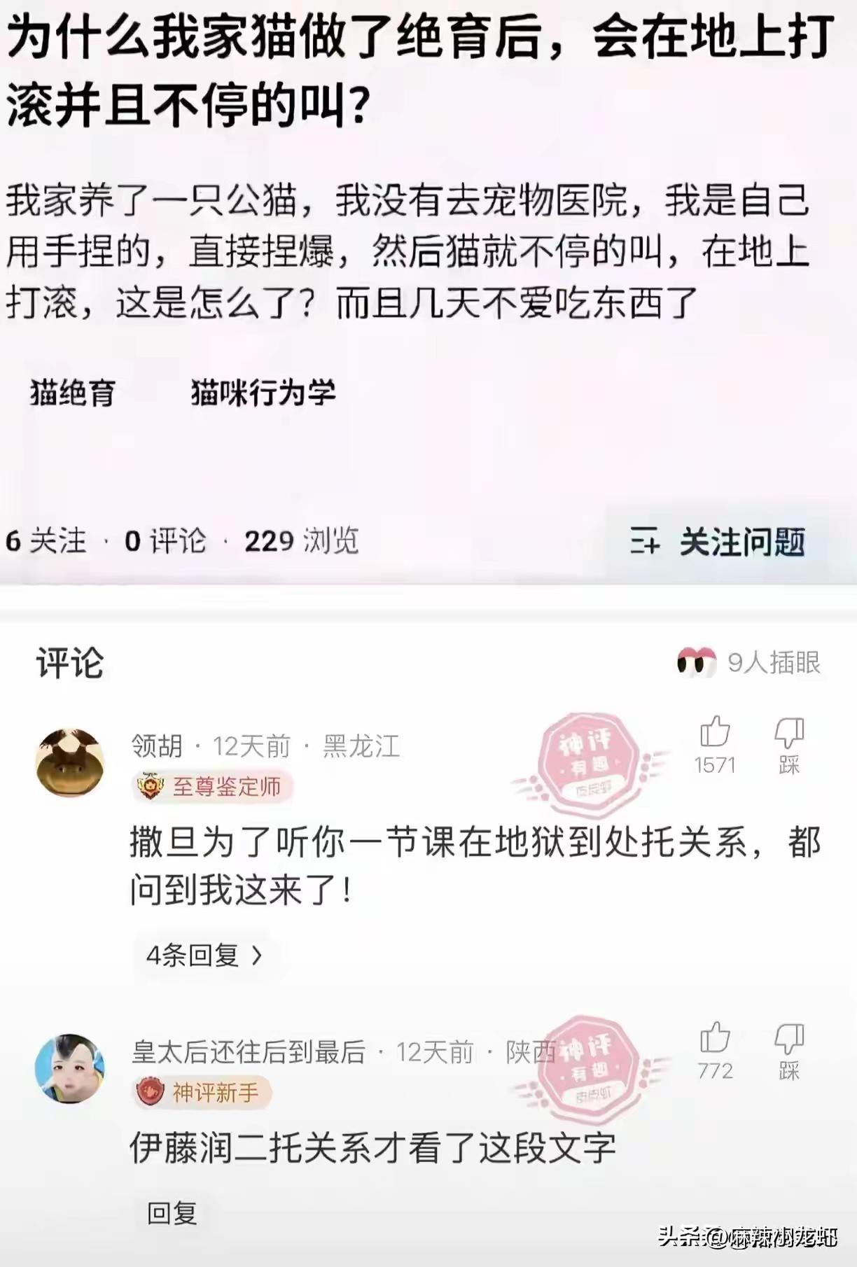 老天呐，这个世界实在有点疯癫！[捂脸][捂脸]