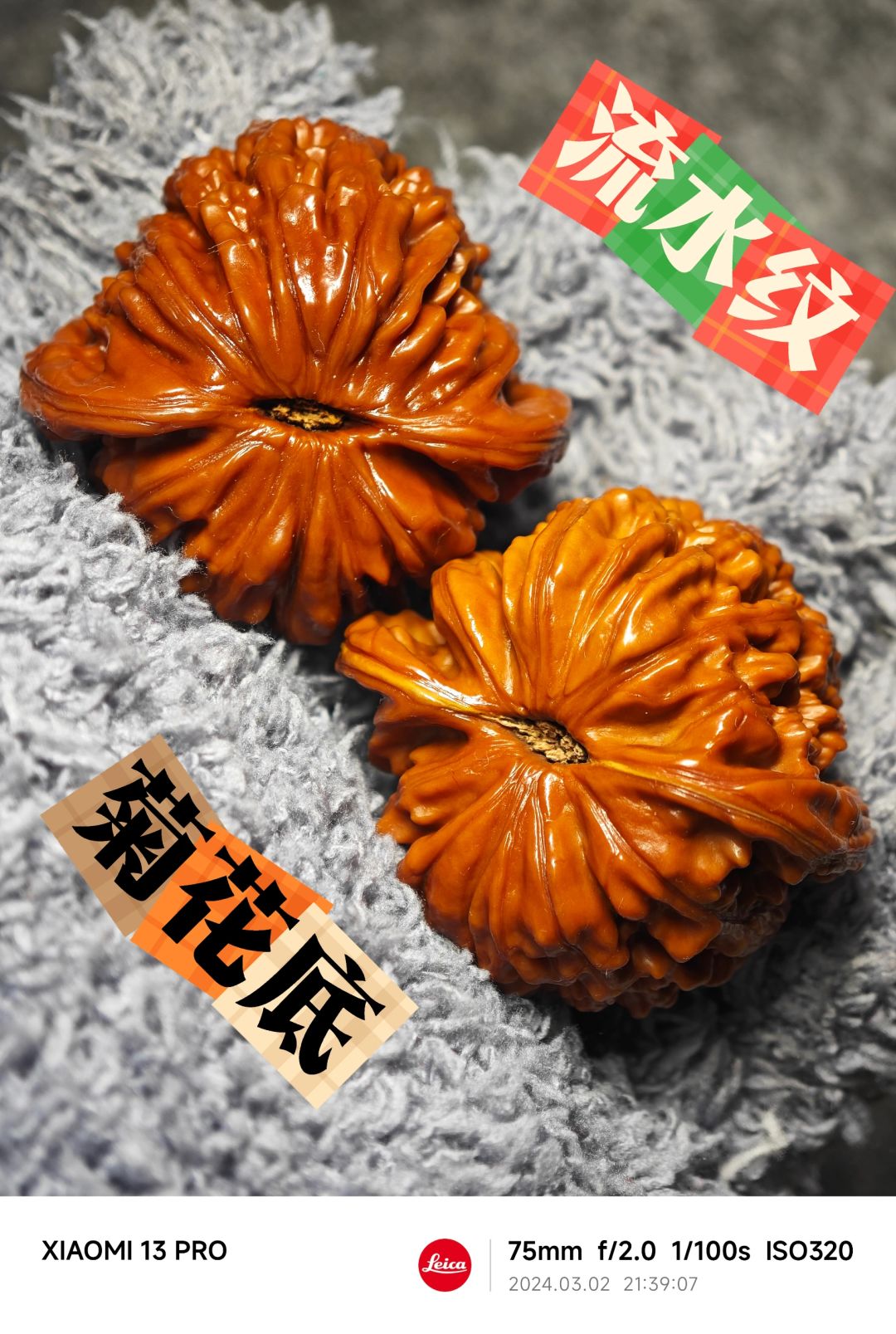 NO.404 流水纹，菊花底