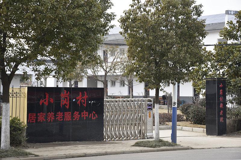 之前刷到合肥这个“水果门牌”的新闻，瞬间觉得养老服务的温度真的藏在这些小细节里。