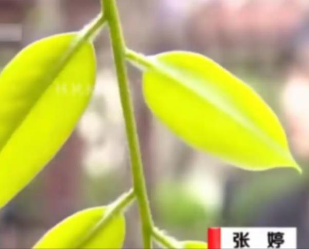 “我想借你的丈夫用用！”山西一女子向闺蜜借丈夫一用，并承诺会给10万感谢费。闺蜜