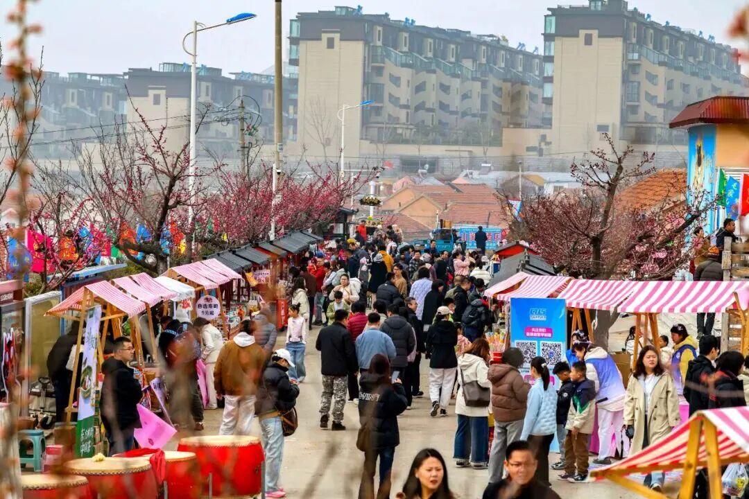 春日生活打卡季3月21日-22日，青岛市西海岸新区灵山卫街道第三届毛家山“飞花市