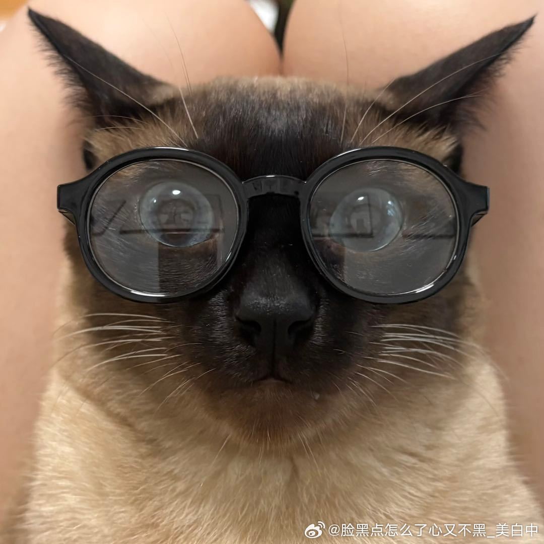 逼罗猫，痔疮膏 