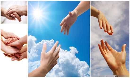 儿子刚送完菜回到家
拿起馒头突然栽倒在地
再也没有醒过来
几十亩菜地，上万斤蔬菜