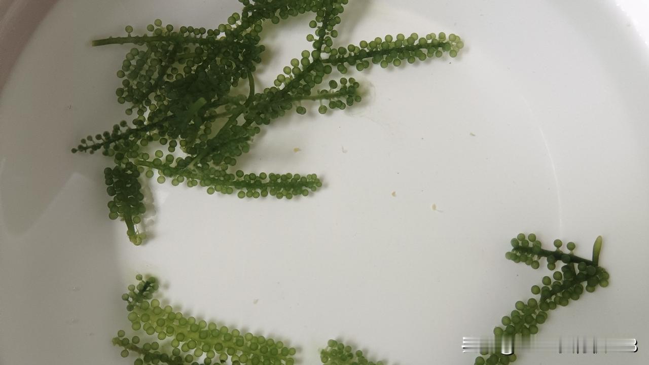 不要瞎举报了，哪些总抱怨药店药品价格，动不动说要举报药店的，说药店药品价格没人管